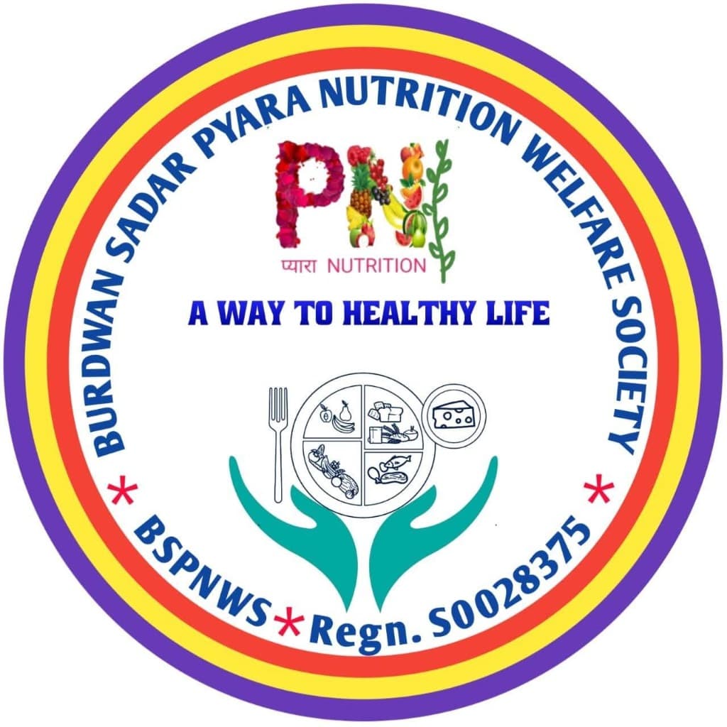 BSPNWS Logo