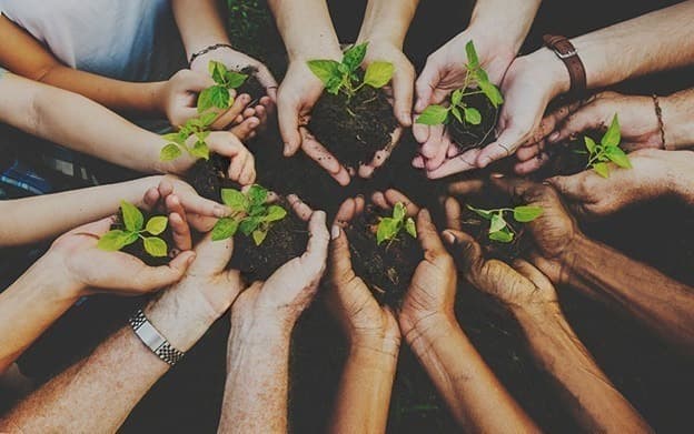 Community Impact